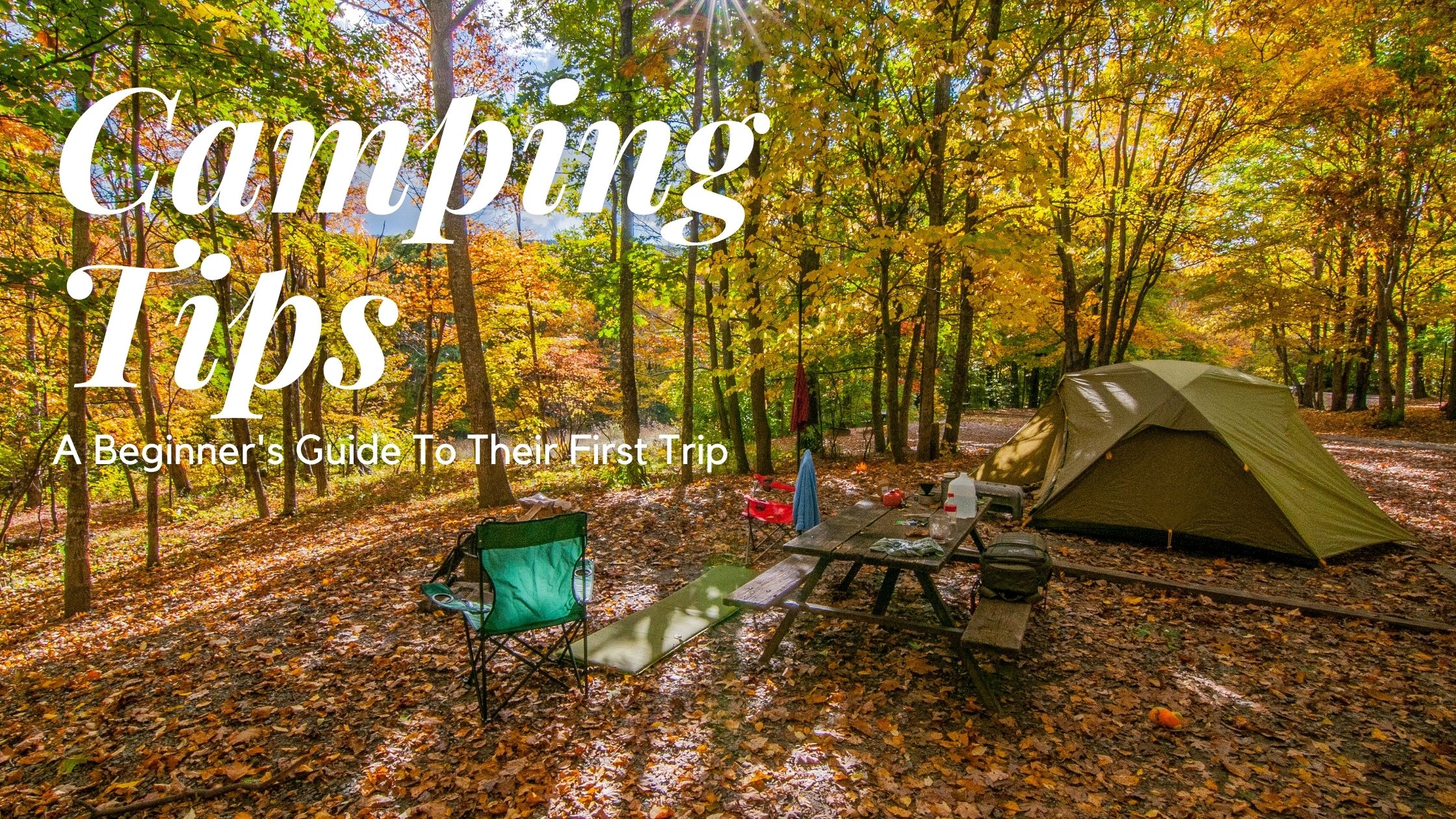 Camping Tips: A Beginners Guide to their First Trip